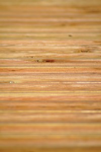 Bristol Landscape Gardening and maintenance