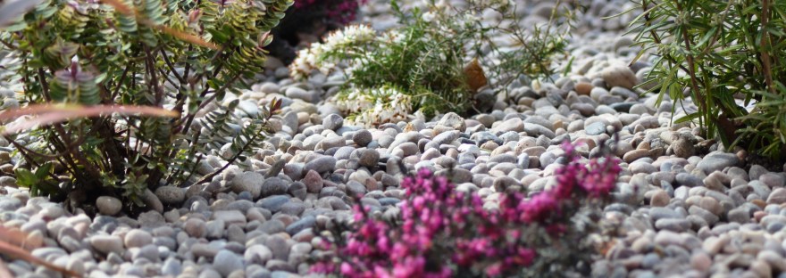 Bristol Landscape Gardening and maintenance