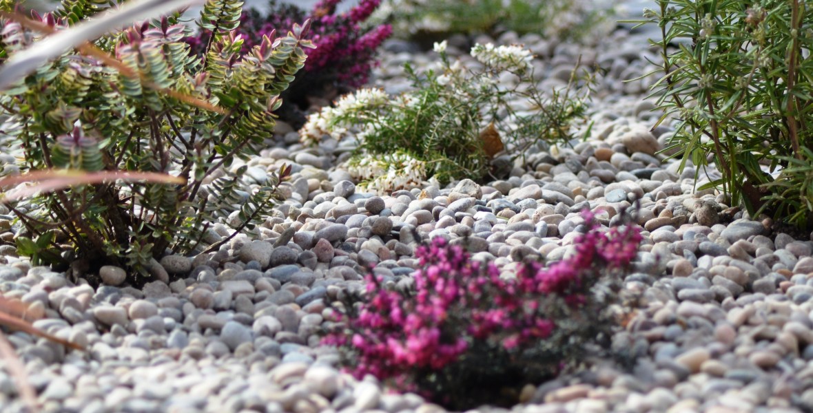 Bristol Landscape Gardening and maintenance