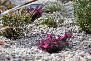 Bristol Landscape Gardening and maintenance