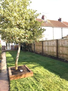 Greenwave Landscaping Bristol Landscape Gardening and maintenance